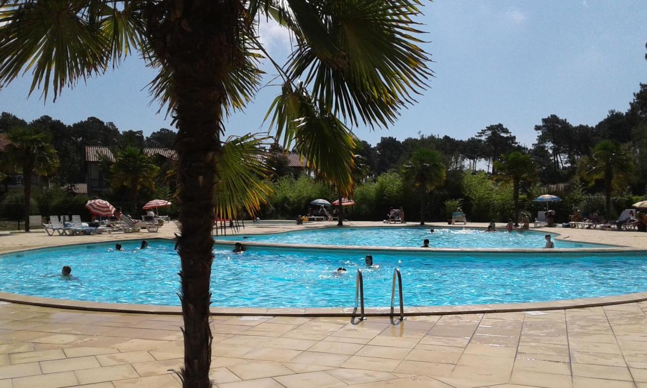 Chalet T3 Nature Piscine Tennis Chalet